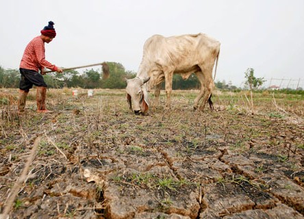 Parched land: climate change increases the odds of extreme weather patterns which can affect food supplies