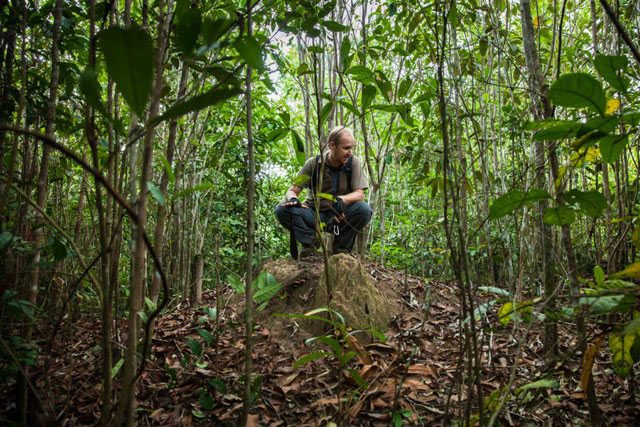 Under the radar: 'lost city' at Phnom Kulen - Southeast Asia Globe