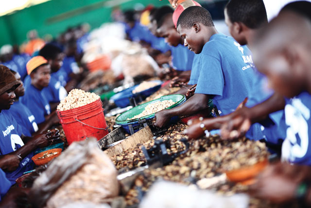 Cashewnuts Factory