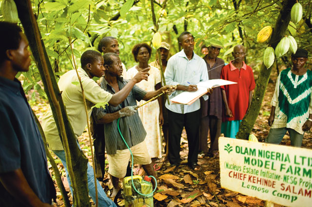 Education is key: Singaporean companies work with farmers and local producers to improve agricultural techniques and equipment. Photo: supplied by Olam