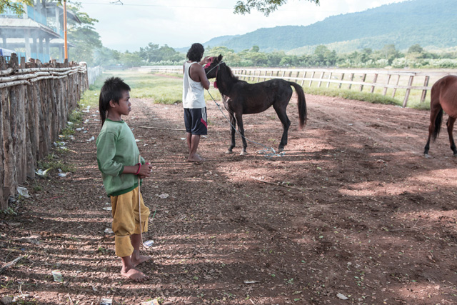 child jockey, sumbawa