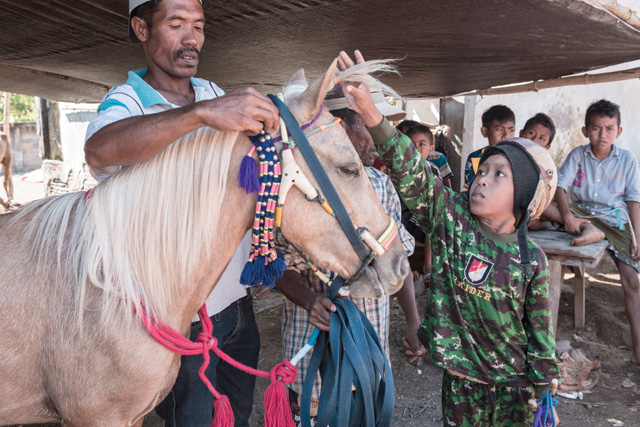 child jockey, sumbawa