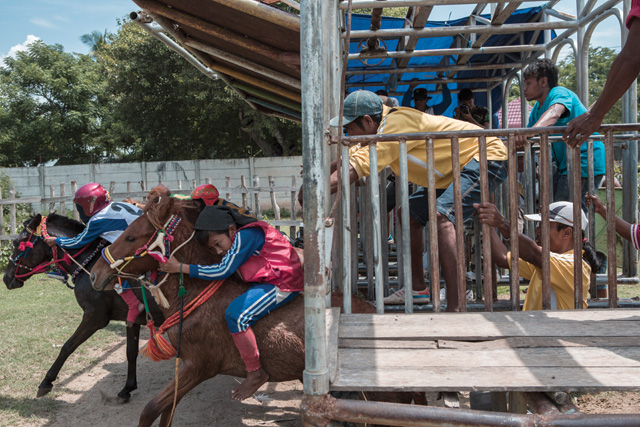 child jockey, sumbawa