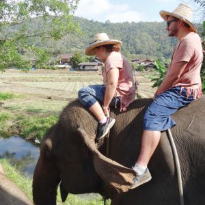 Ran-Tong Save and Rescue Elephant Centre