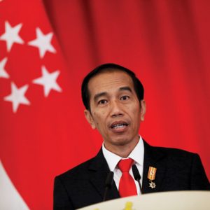 widodo, indonesia, politics