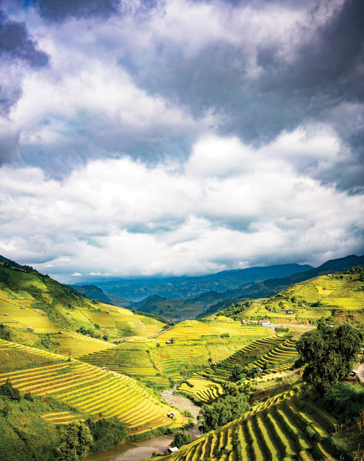 Mu Cang Chai, rice terraces, vietnam