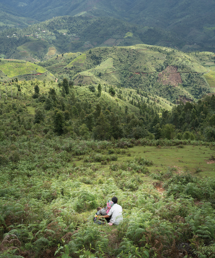 Mu Cang Chai, rice terraces, vietnam