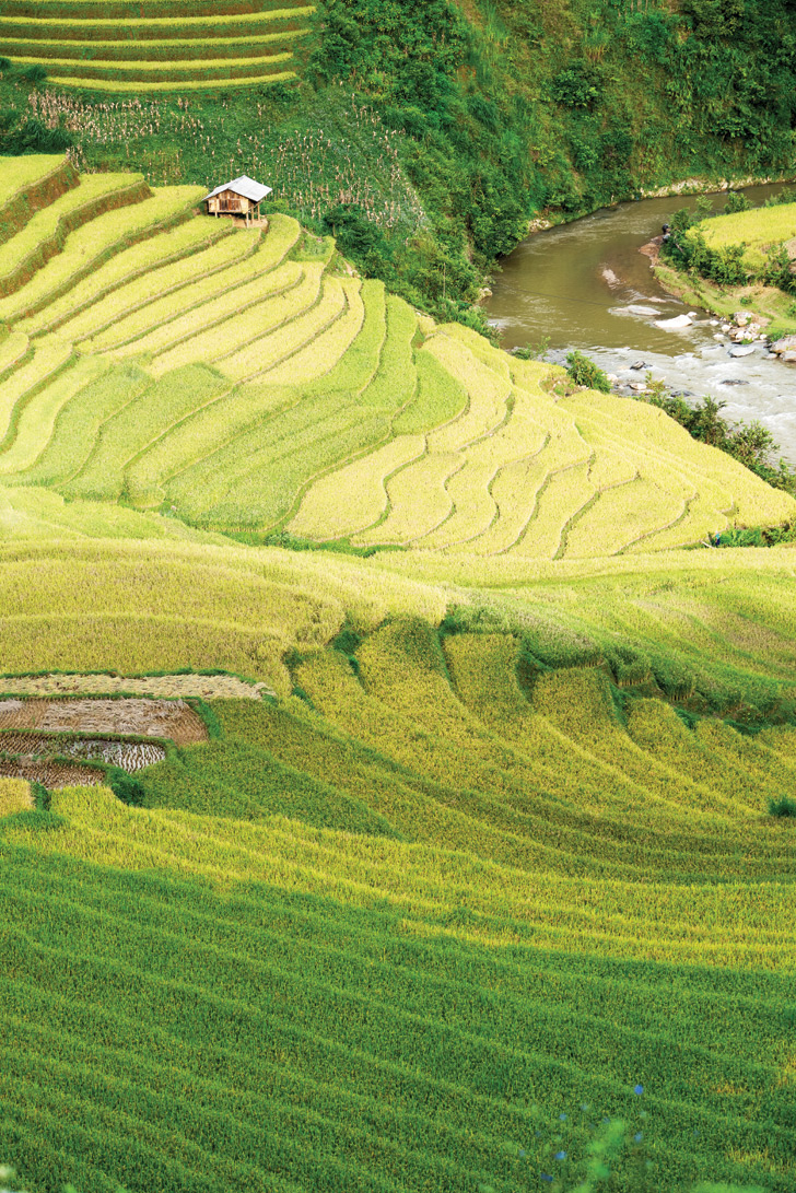 Mu Cang Chai, rice terraces, vietnam