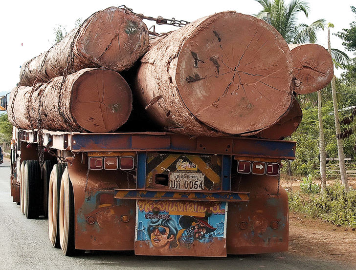 rosewood, electricite du laos