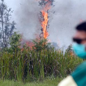 climate change, indonesia