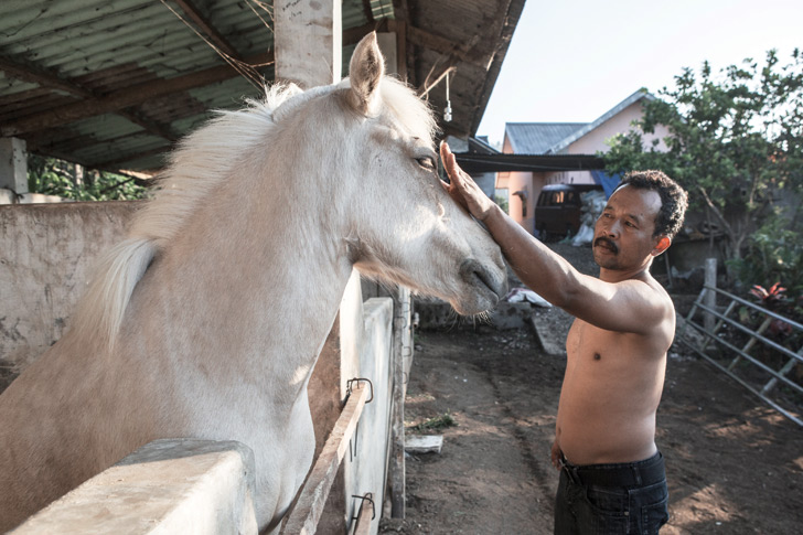 Mobile horse library 