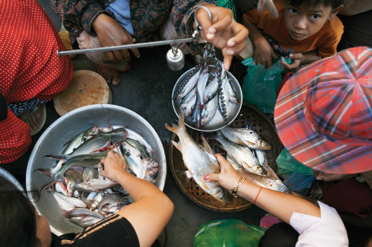 Mekong