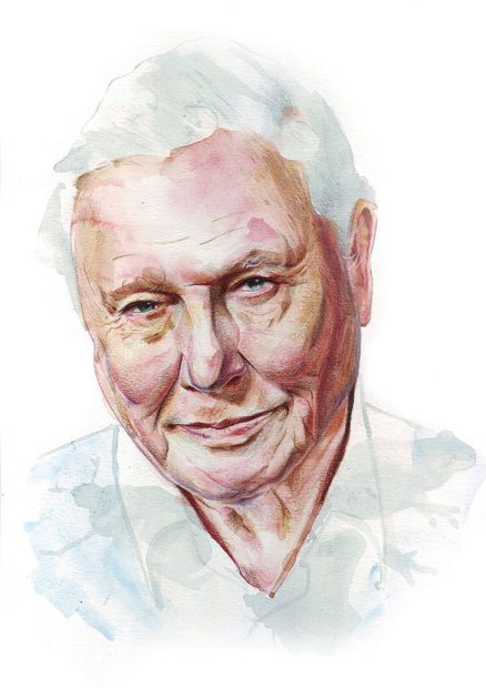 A portrait of David Attenborough