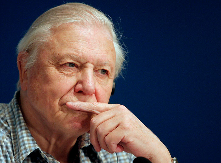 David Attenborough at a press conference