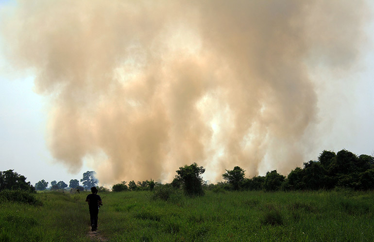 Smoke from forest fires in Indonesia