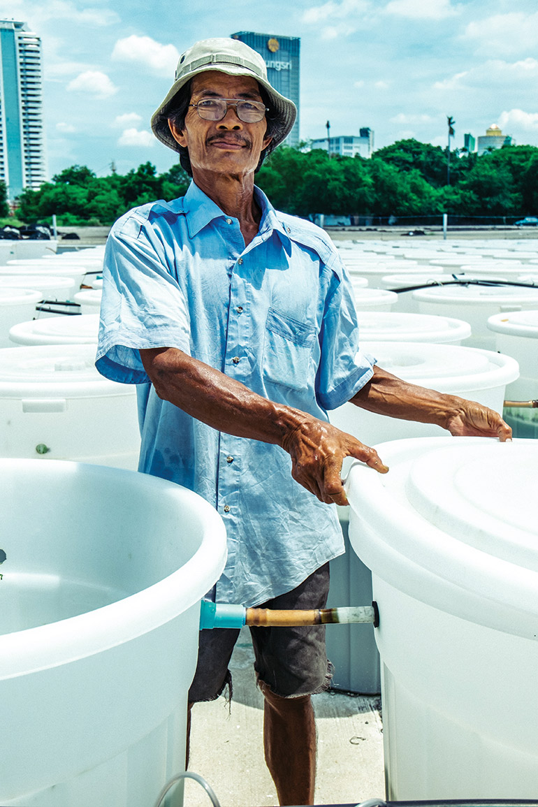 A man working at EnerGaia