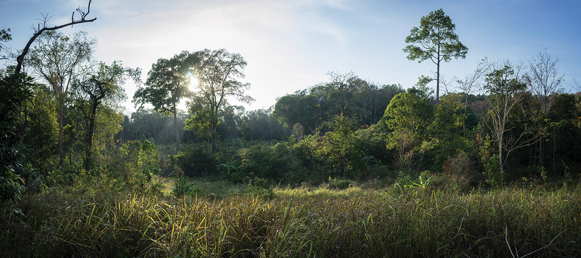 Taking a walk on the wild side with Mondulkiri’s eco-tourism outfits