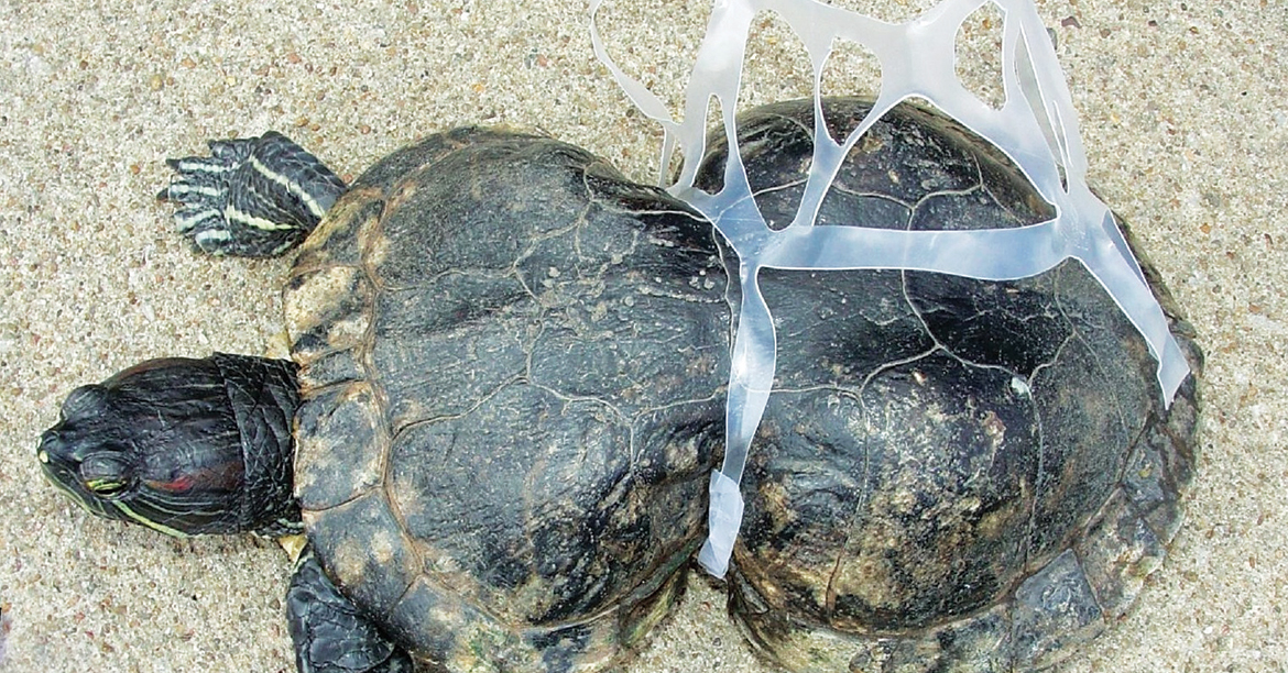 The plastic tide