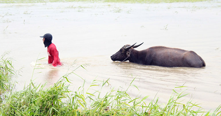 POTW_Philippines_flood_Luzon_Southeast-Asia-Globe-2018