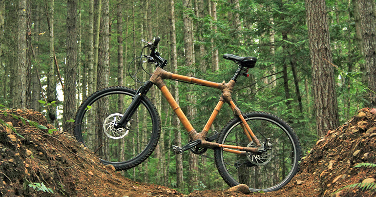 Bamboo store mountain bike