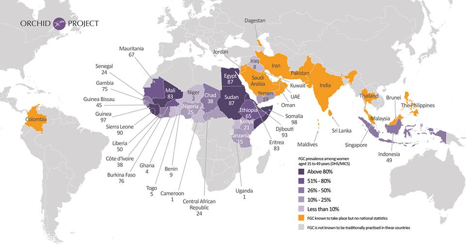 FGM/C prevalence among women aged 15 to 49 years Infographic: Orchid Project 