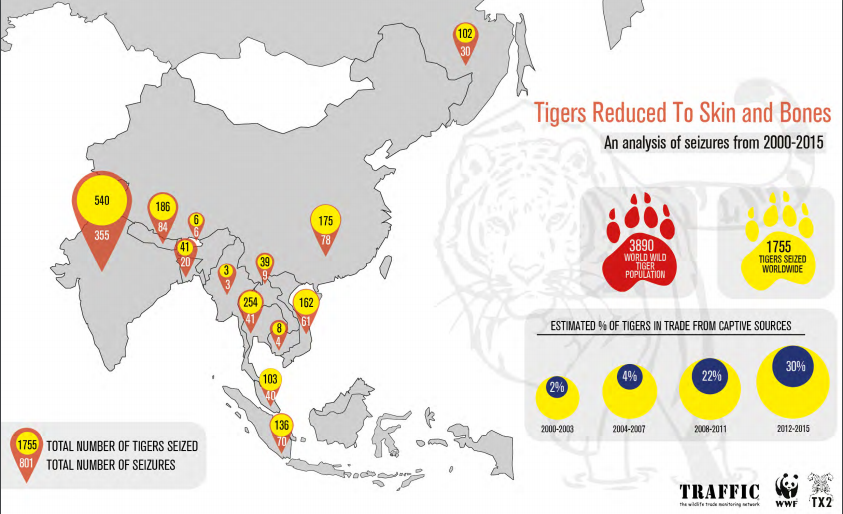 Mapping out tigers' demise across Asia- Southeast Asia is a hotspot for illegal wildlife trade. Photo: TRAFFIC 