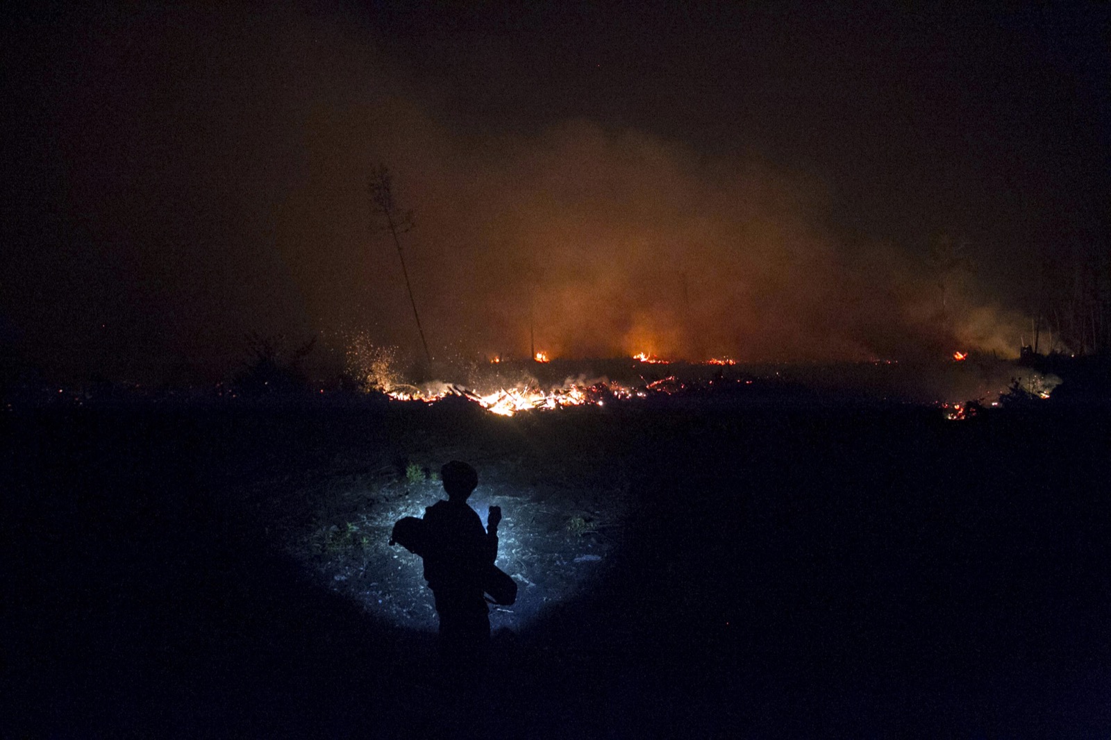 An Indonesian resident using a flashlight inspects a wildfire in a peatland, on the outskirts of Palangkaraya, Central Kalimantan, Indonesia. Photo: EPA/Fully Handoko