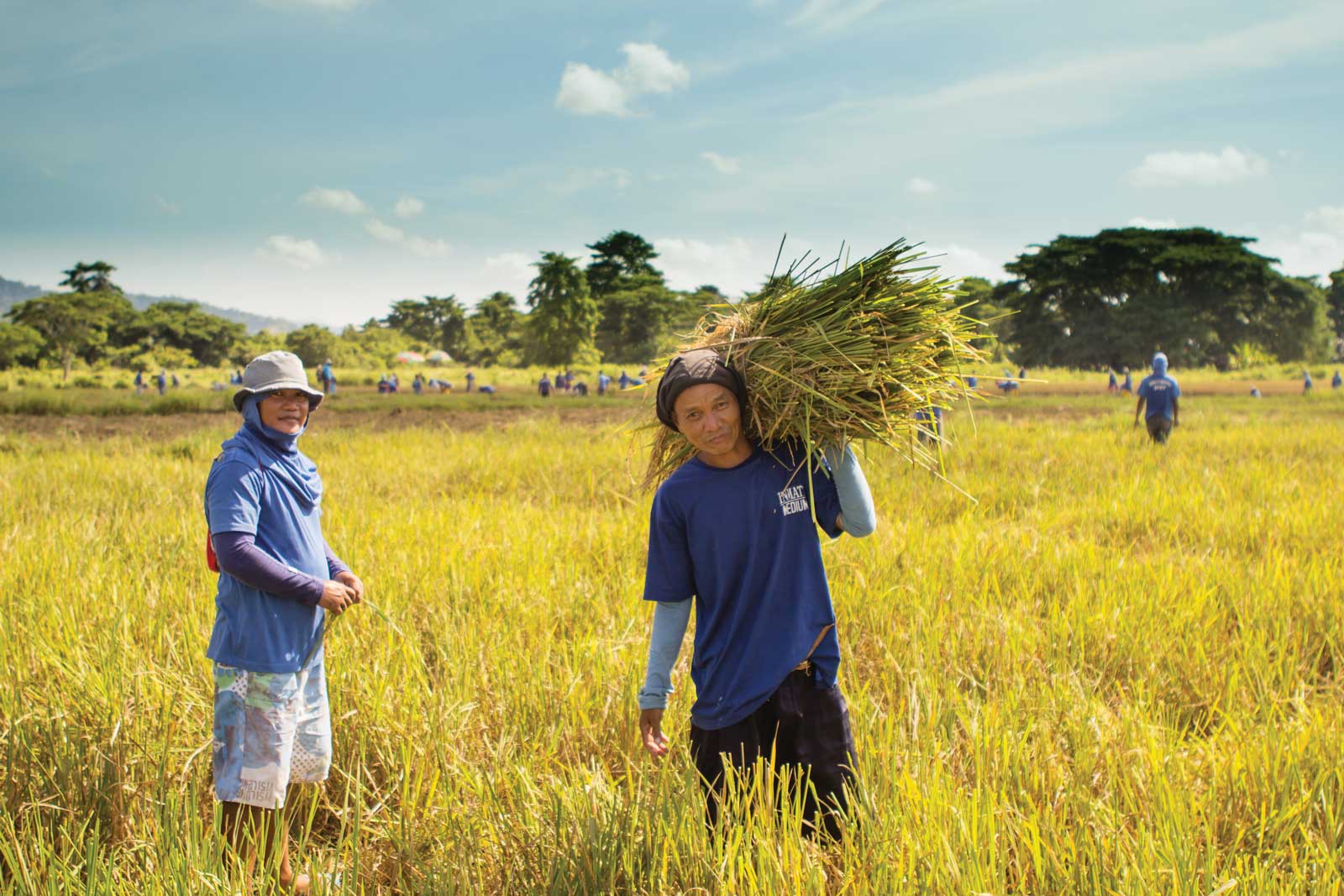 inmates work the fields at Iwahig Prison, which was set up in 1904