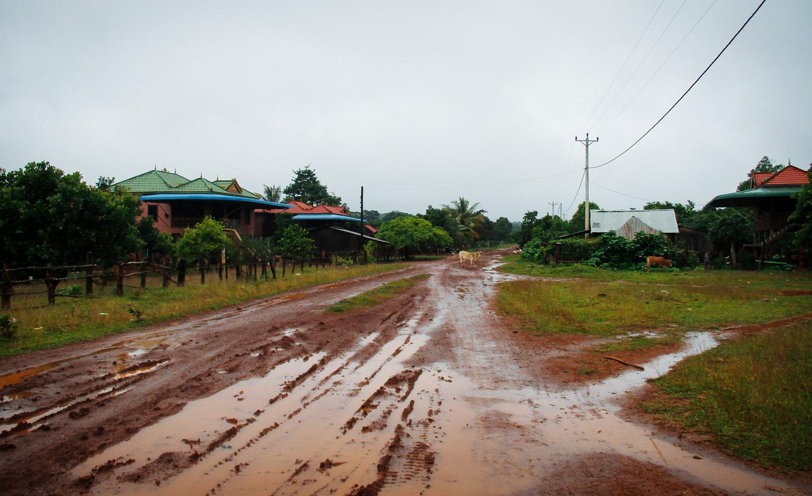 In the background are Khmer-style houses on stilts, most likely built with logging money in a Bunong village by Keo Seima Wildlife Sanctuary. Photo: Tabitha Payne