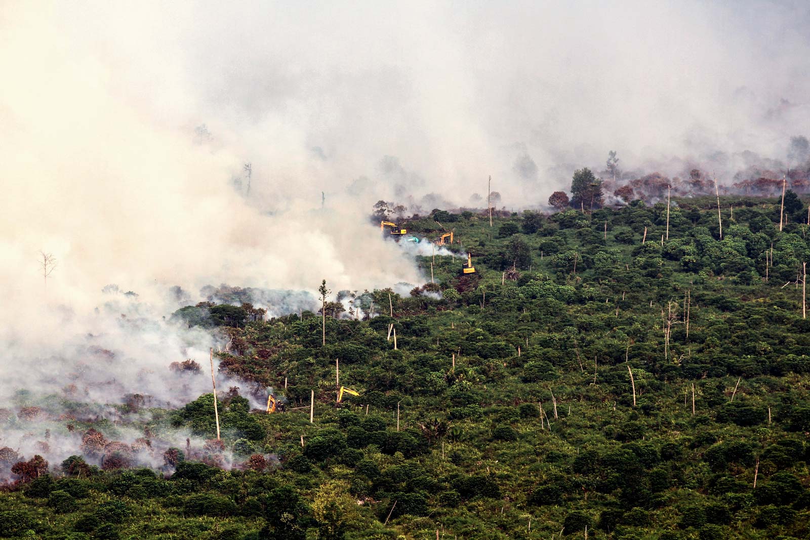 Forest fire as seen from a helicopter belonging to Indonesia's National Disaster Mitigation Agency in Musi Banyuasin, near Palembang, South Sumatra. Photo: EPA-EFE/Muhammad Fajri