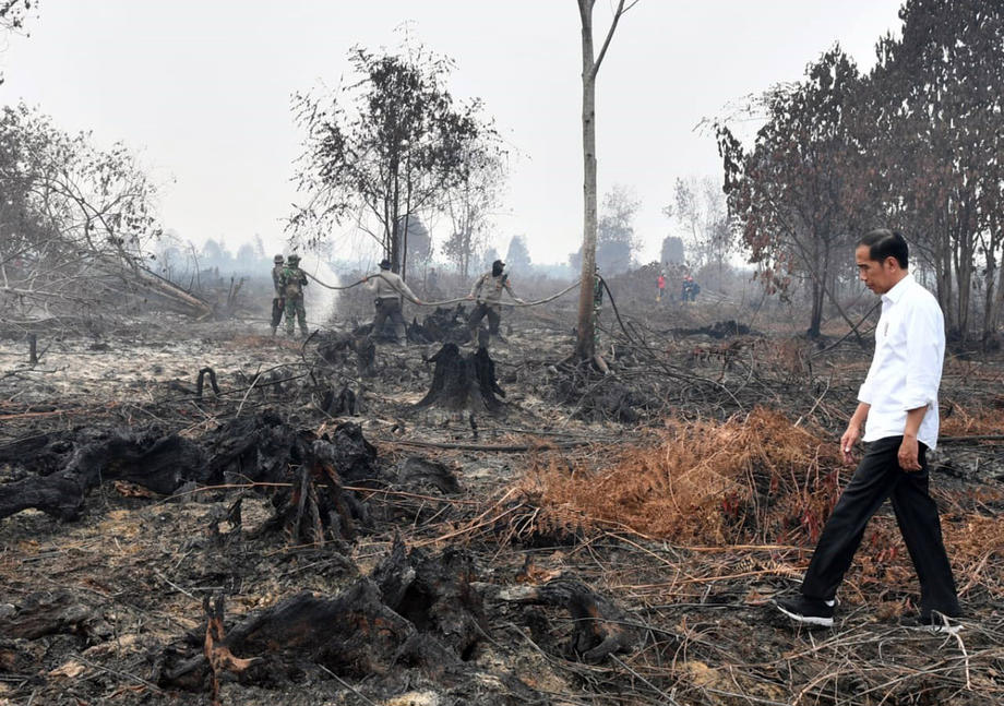 Indonesian President Joko Widodo inspecting a burned forest in Pekanbaru, Indonesia, 17 September 2019. Indonesia has been heavily-criticised for the recurrence of the fires, which are caused by slash and burn land clearances, and have caused a choking haze to spread over neighboring countries. Activists have sought to link the fires with climate change. Photo: EPA-EFE/Laily Rachev/Indonesian Presidential Palace Handout