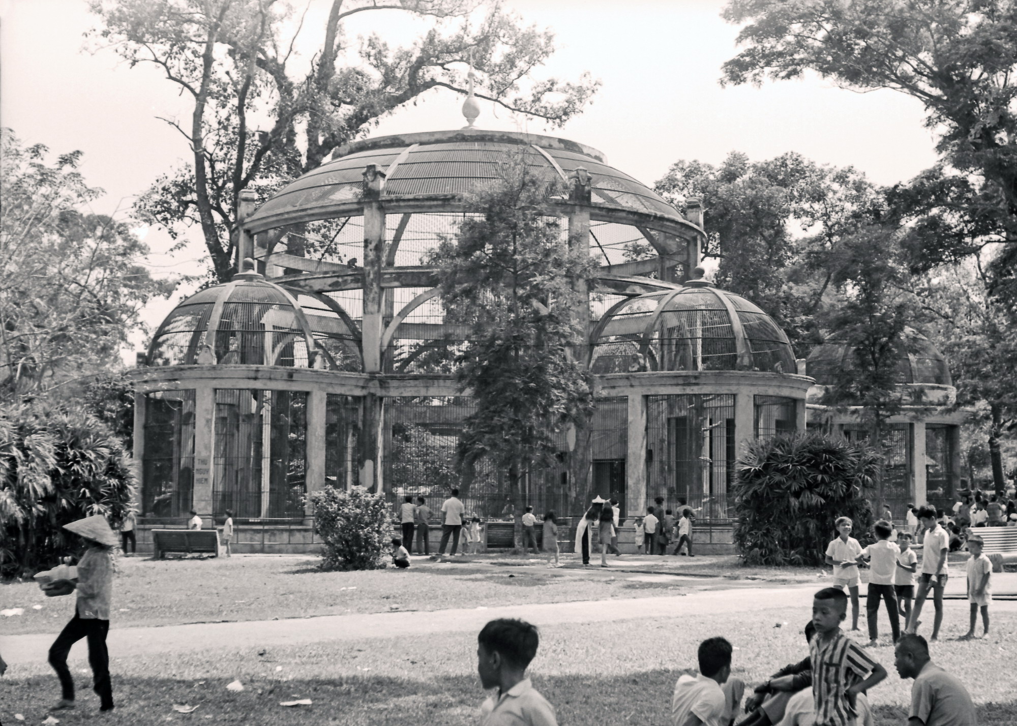 [Photos] The Saigon Zoo’s enduring serenity in the 1970s