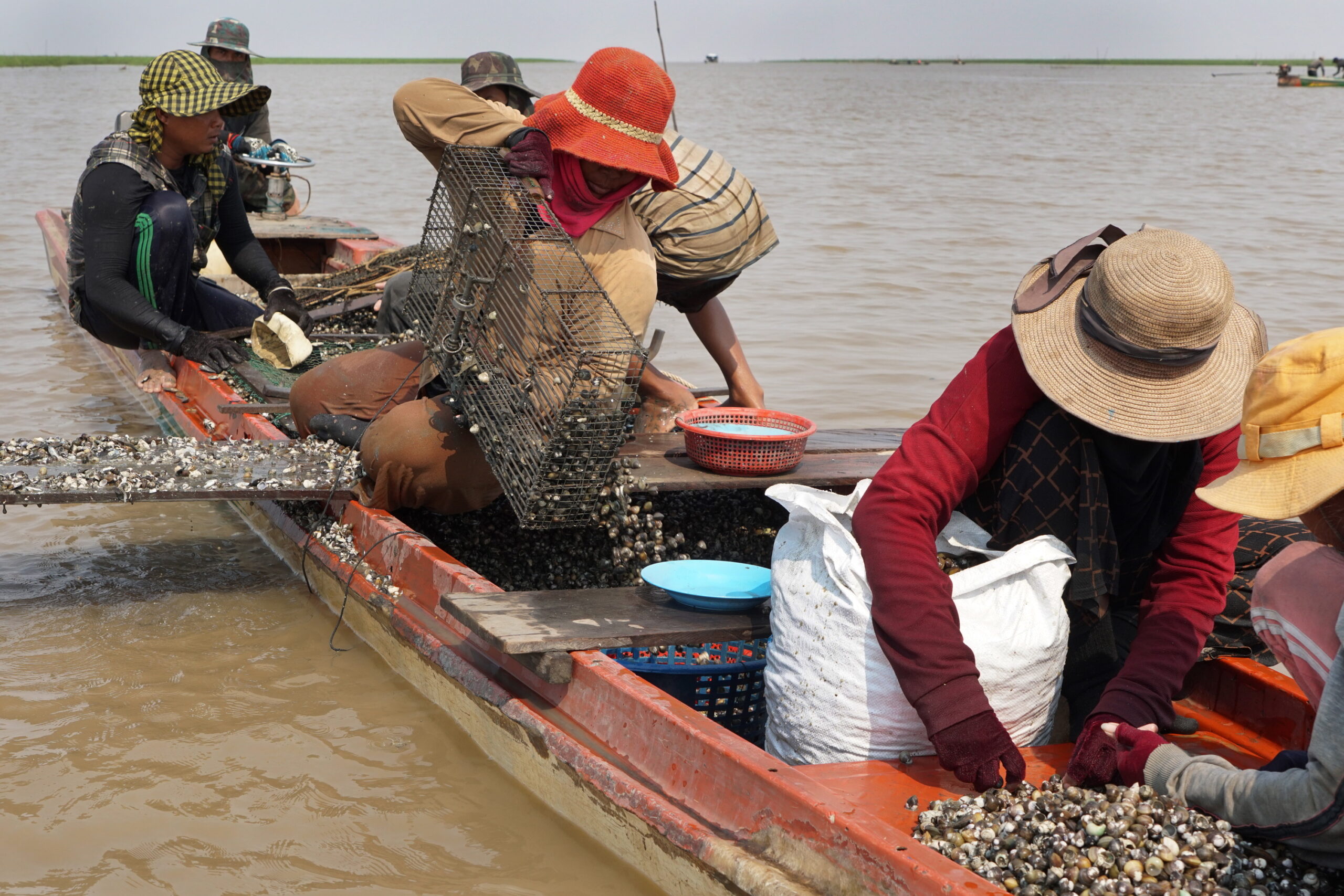 Net Fishing by Khmer People at Sangkat Krang Thnong of Phnom Penh city 02 